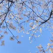 むめも