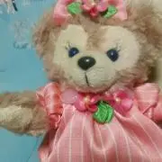 さなえ