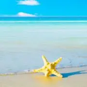 ふうけけの画像