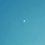 A.の画像