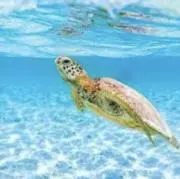 海の画像
