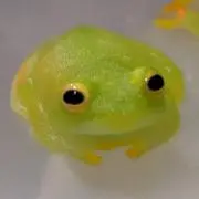 TUPAC
