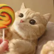 ゆちゅ