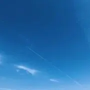 maronの画像