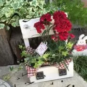 チャキ