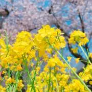 H/H プロフ必読✴︎