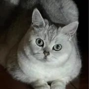 rieの画像