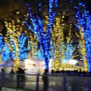 cokoniの画像