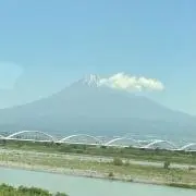 玉ねぎの画像
