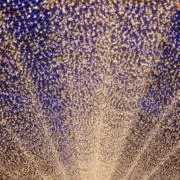 ユノモモの画像