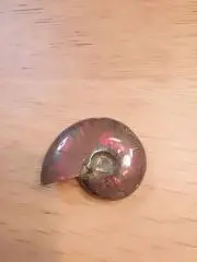 keの画像