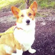 yuka*