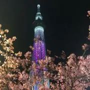 Michael Shopの画像
