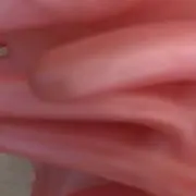 三羽烏の画像