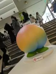 organic.kkの画像