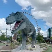 みてプロフの画像