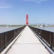 ささの画像