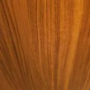 ヤマの画像