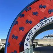 蘭の画像