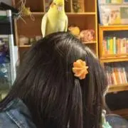 頴娟 313えいえんの画像