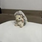 りたの画像