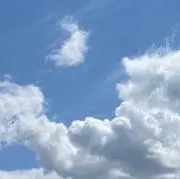 どーなつの画像