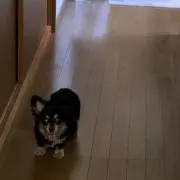 TKの画像