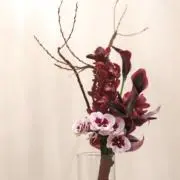 Mmの画像