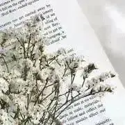 aの画像