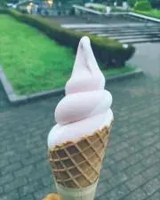 ぺこの画像