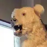 がぉー(￣(工)￣)の画像