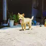 エスポワール