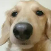 はくさん