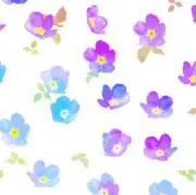 nana mariの画像