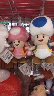 ふえらむね
