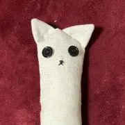 キトゥンの画像