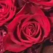 NORIX0512の画像