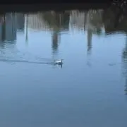 おの画像