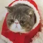 ゆめの画像