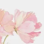 ★Rika★即購入OKです！の画像