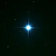 しめじ☆の画像