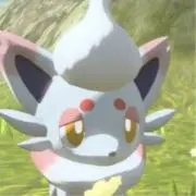 ずうぽけの画像