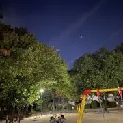ぽてちの画像