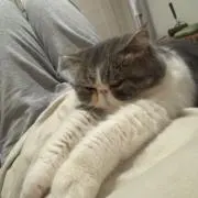 たなかの画像