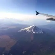 コロちゃんの画像