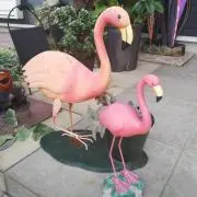 おっちぃの画像
