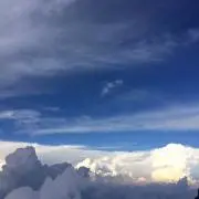 さこの画像