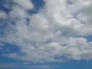 もんちっちの画像