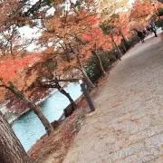 うりの画像
