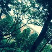 Tetsuの画像